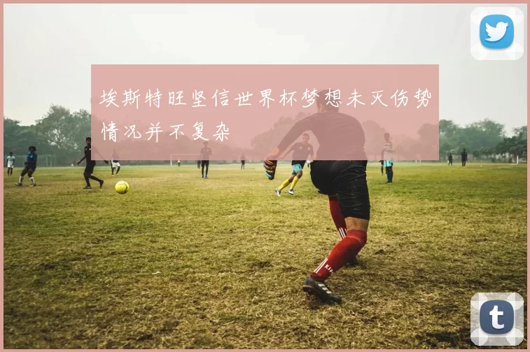 埃斯特旺坚信世界杯梦想未灭伤势情况并不复杂
