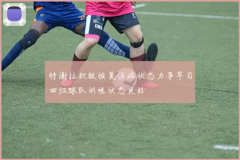 特谢拉积极恢复伤病状态力争早日回归球队训练状态良好